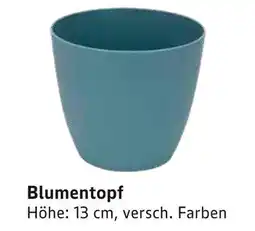 E-Center Blumentopf Angebot