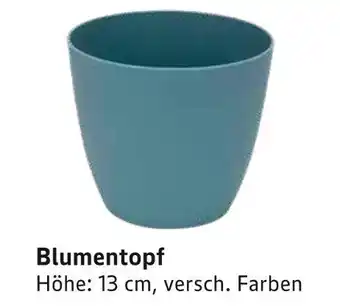 E-Center Blumentopf Angebot