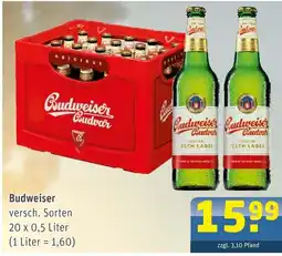 Getränke Arena Budweiser versch. sorten Angebot