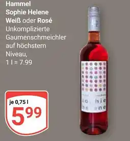 Globus Hammel sophie helene weiß Angebot