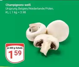 Globus Champignons weiß Angebot