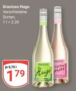 Globus Gracioso hugo Angebot