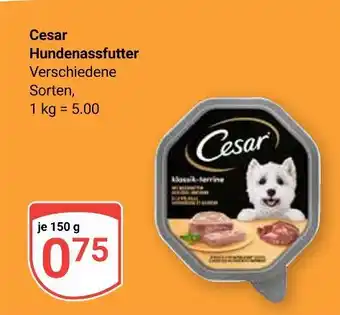 Globus Cesar hundenassfutter Angebot