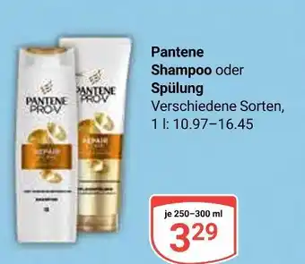 Globus Pantene shampoo Angebot
