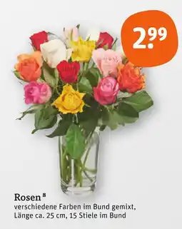 tegut Rosen Angebot