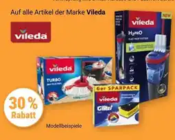 Globus Vileda 30 % rabatt Angebot