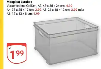 Globus Miraplast eurobox a3 Angebot