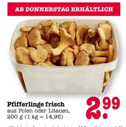E-Center Pfifferlinge frisch Angebot
