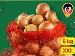 Aldi Nord Zwiebeln XXL Angebot