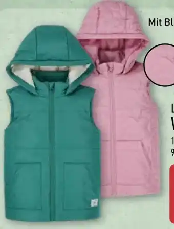 Aldi Nord Lily & Dan Kinder Weste Angebot