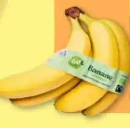 Aldi Nord Bio Fairtrade Bananen Angebot