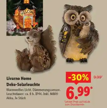 Lidl LIVARNO home Deko-Solarleuchte Angebot