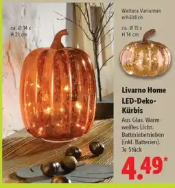 Lidl LIVARNO home LED-Deko-Kürbis Angebot