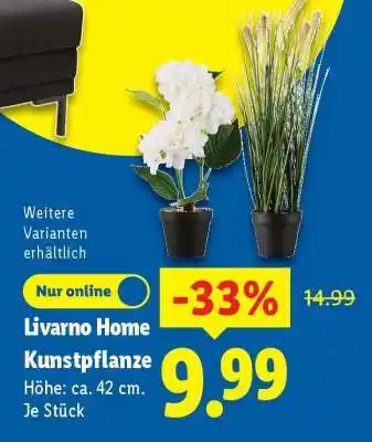 Lidl LIVARNO home Kunstpflanze Angebot