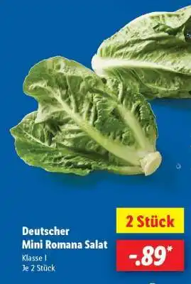 Lidl Deutscher Mini Romana Salat Angebot
