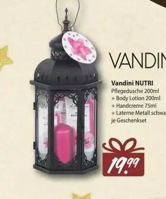 V Markt Vandini Nutri Angebot