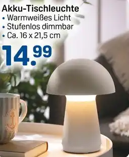 Rossmann Akku-Tischleuchte Angebot