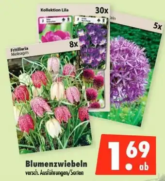 Mäc Geiz Blumenzwiebeln Angebot