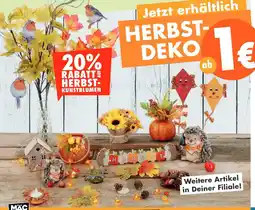 Mäc Geiz HERBST- DEKO Angebot
