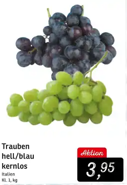 KONSUM Trauben hell/blau kernlos Angebot
