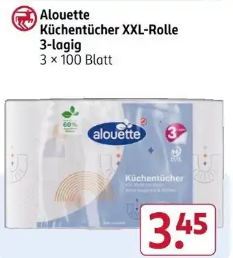 Rossmann Alouette Küchentücher XXL-Rolle Angebot