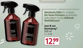 Rossmann Jean & Len Raumspray Angebot