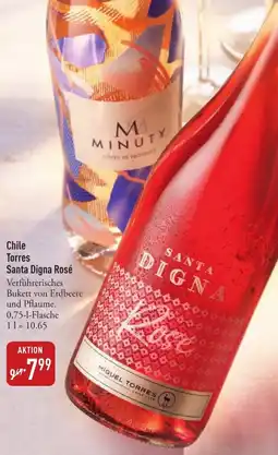 Galeria Markthalle Chile Torres Santa Digna Rosé Angebot
