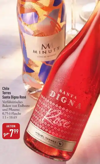 Galeria Markthalle Chile Torres Santa Digna Rosé Angebot