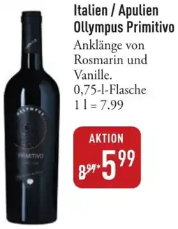 Galeria Markthalle Italien / Apulien Ollympus Primitivo Angebot