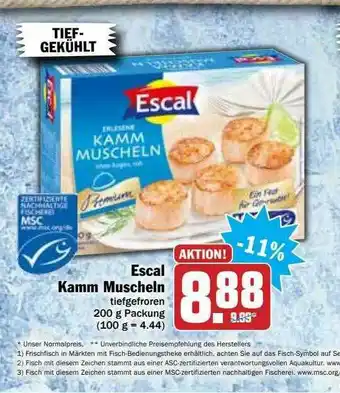 Hit Escal Kamm Muscheln Angebot