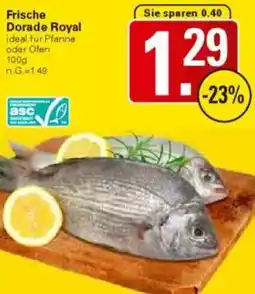 WEZ Frische Dorade Royal Angebot