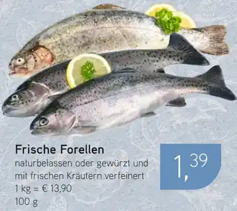Dornseifer Frische Forellen Angebot
