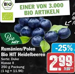 HIT Rumänien/Polen Bio HIT Heidelbeeren Angebot