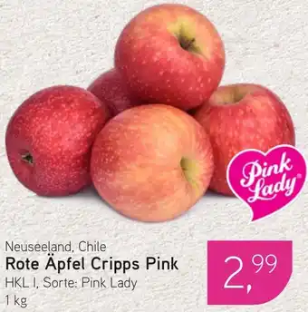 Dornseifer Rote Apfel Cripps Pink Angebot