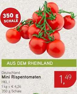 Dornseifer Deutschland Mini Rispentomaten Angebot