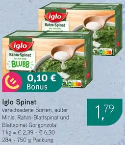 Dornseifer Iglo Spinat Angebot