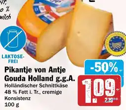 HIT Pikantje von Antje Gouda Holland g.g.A. Angebot