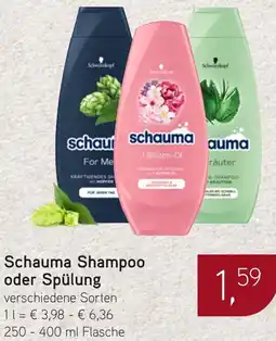 Dornseifer Schauma Shampoo oder Spülung Angebot