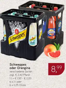 Dornseifer Schweppes oder Orangina Angebot