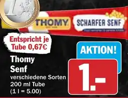HIT Thomy Senf Angebot