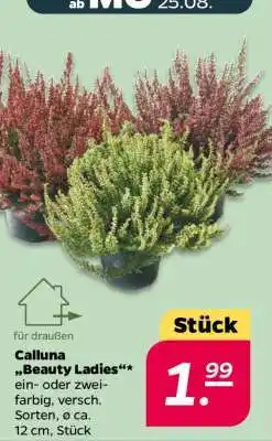 NETTO Calluna Beauty Ladies Angebot