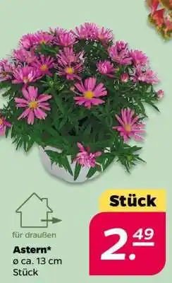 NETTO Astern Angebot