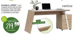 Zurbrüggen Cantus Schreibtisch ,,BJÖREN" Angebot