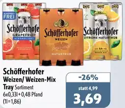 Aktiv Irma Schöfferhofer Weizen/ Weizen-Mix Tray Angebot
