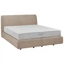XXXLutz Johann Jakob Boxspringbett Angebot