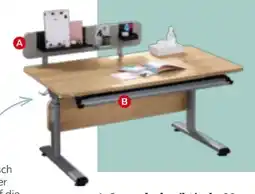 XXXLutz Paidi Jugendschreibtisch Diego 120 Angebot
