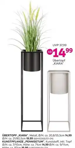 Mömax Übertopf „kiara“ Angebot