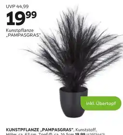 Mömax Kunstpflanze „pampasgras“ Angebot