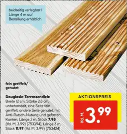 Hellweg Douglasie-terrassendiele Angebot