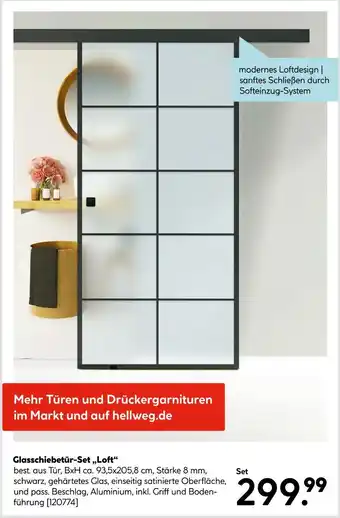 Hellweg Glasschiebetür-set „loft“ Angebot